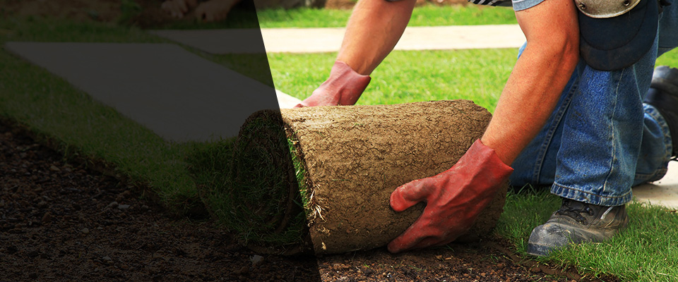 Whiteriver Landscapers